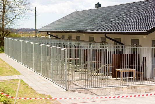 What Size Kennel Is Right for My Dog? | OmniaPaws
