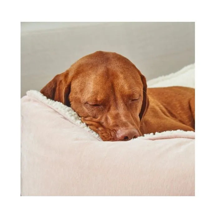 Bowsers Scoop Dog Bed - Allumina / Performance Linen / Small | OmniaPaws