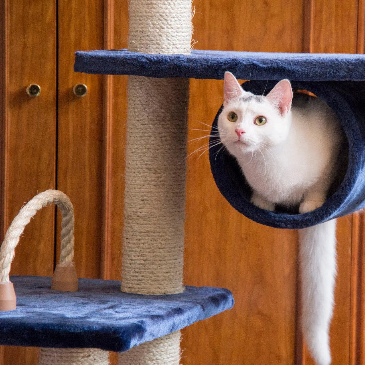 Armarkat Classic Cat Tree A7101 - Default Title | OmniaPaws