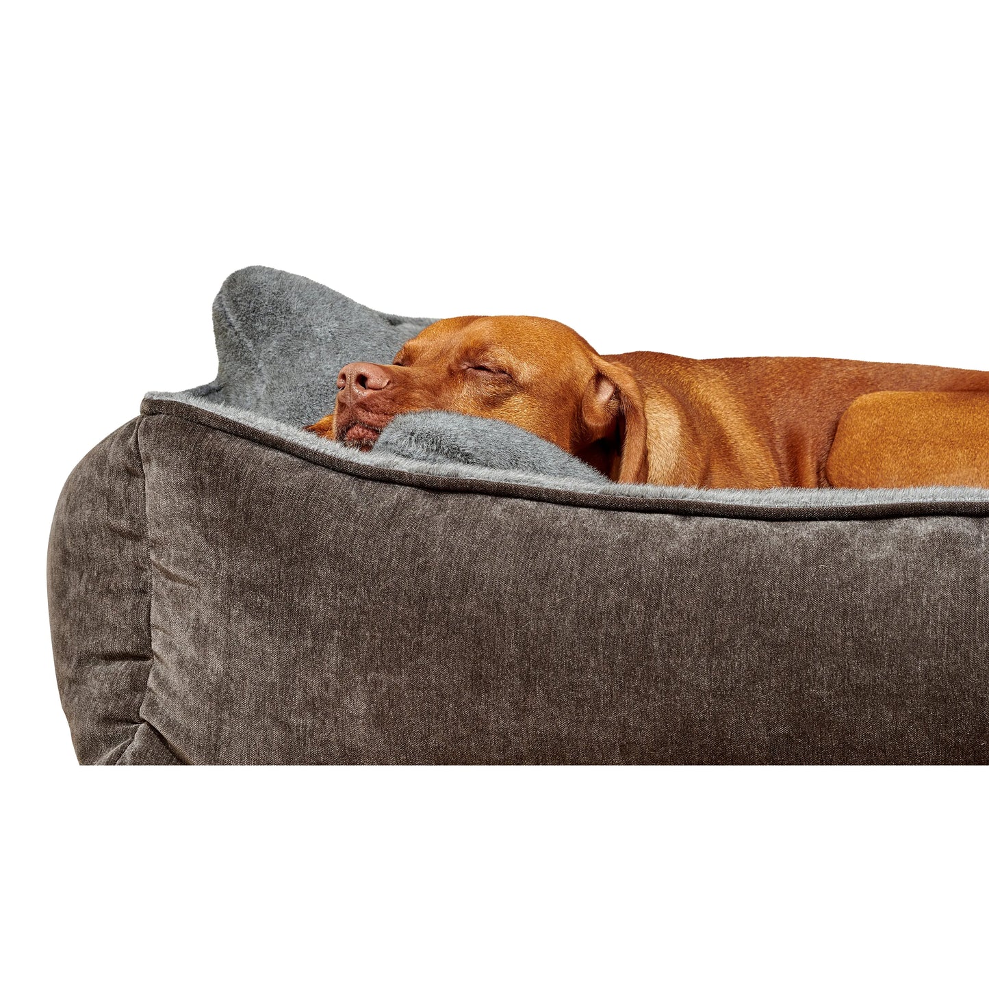 Bowsers B-Lounge Dog Bed - Fawn / Faux Fur / Small | OmniaPaws
