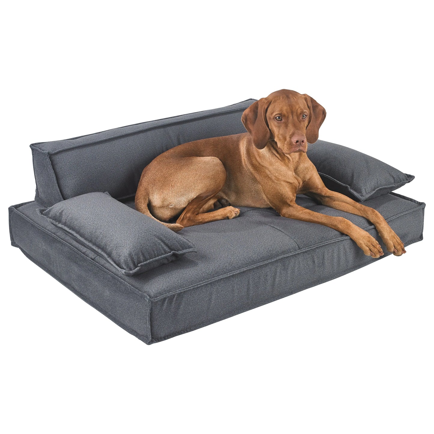 Bowsers Scandinave Pet Sofa - Shadow / Flanella Microvelvet | OmniaPaws