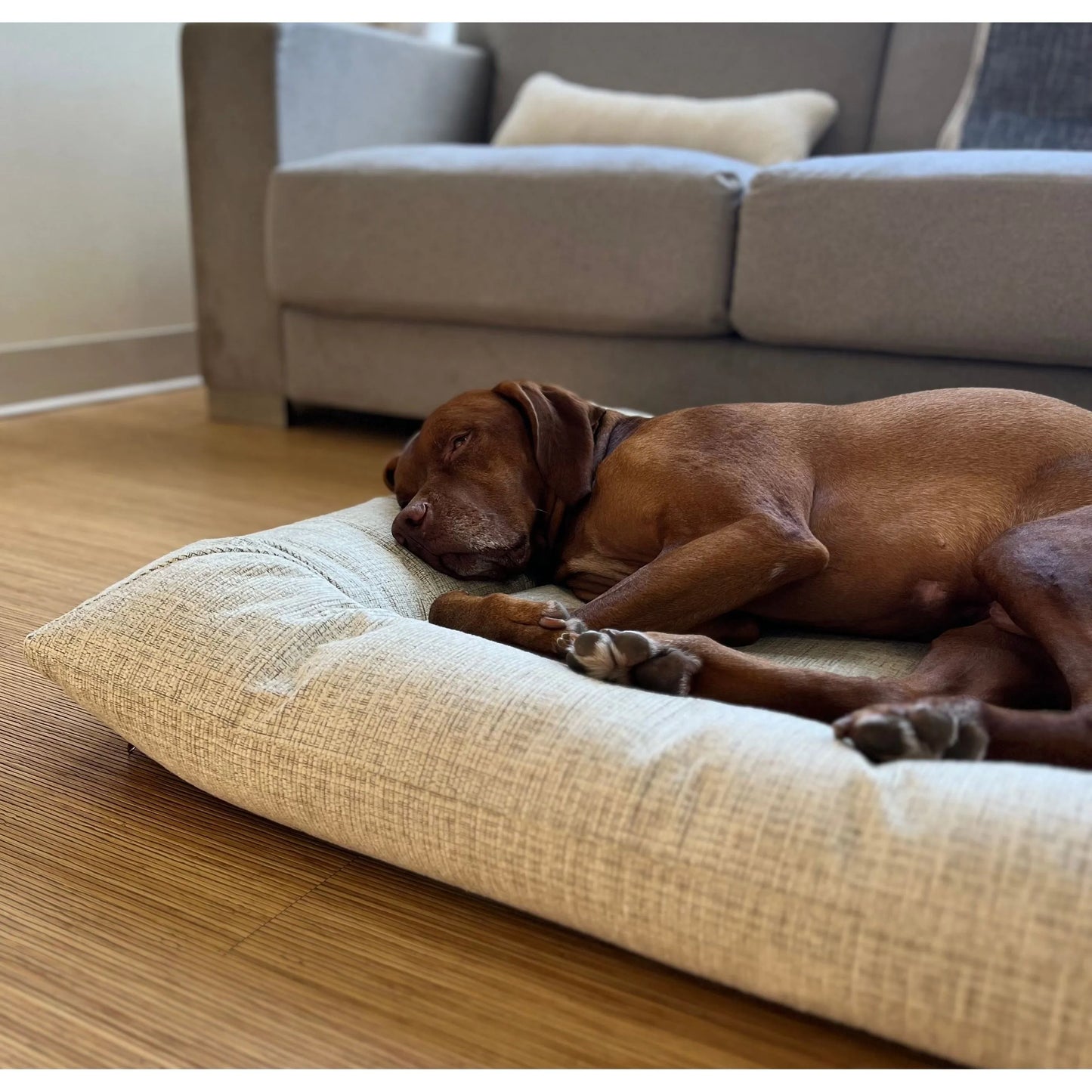 Bowsers Hugo Futon Dog Bed - Birch / Performance Chenille / Medium | OmniaPaws