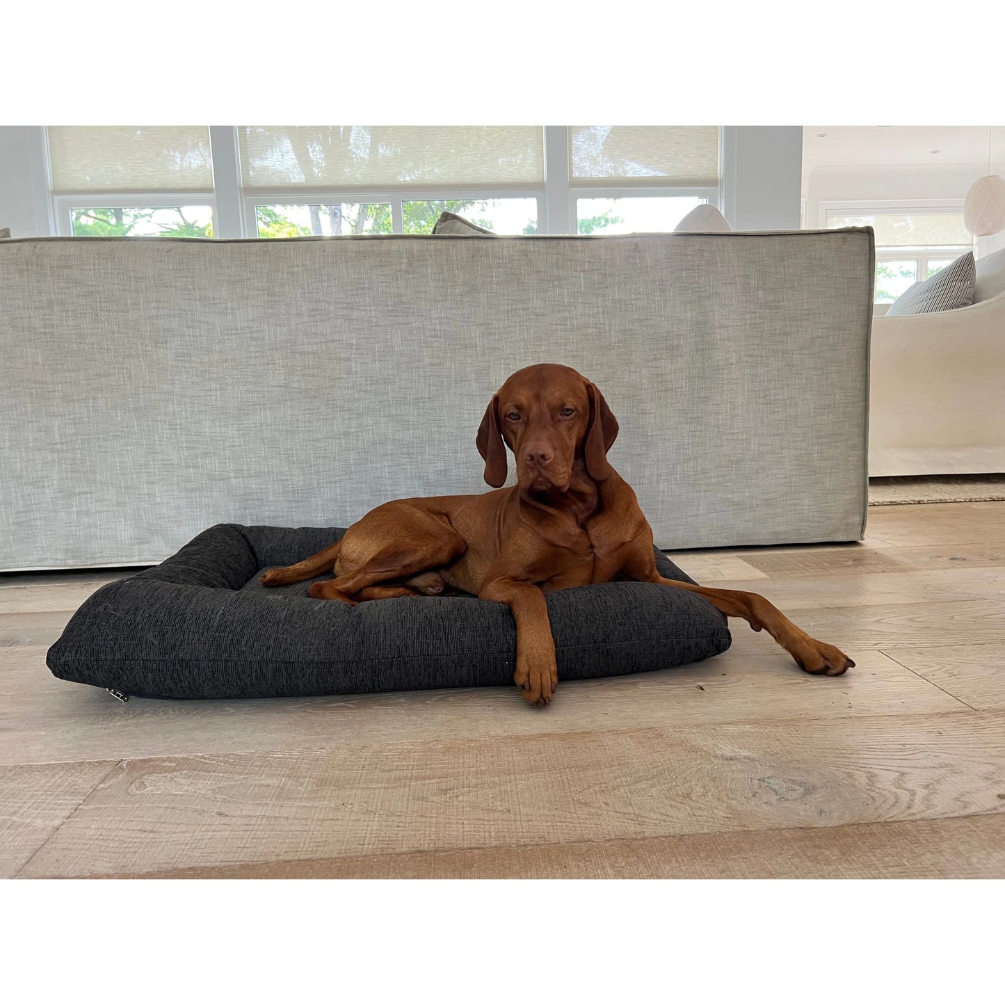 Bowsers Hugo Futon Dog Bed - Birch / Performance Chenille / Medium | OmniaPaws