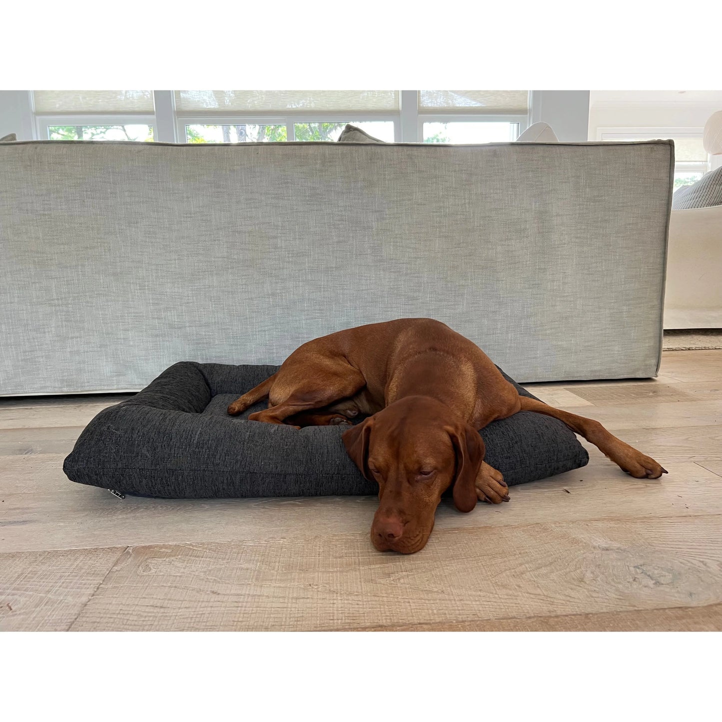 Bowsers Hugo Futon Dog Bed - Birch / Performance Chenille / Medium | OmniaPaws