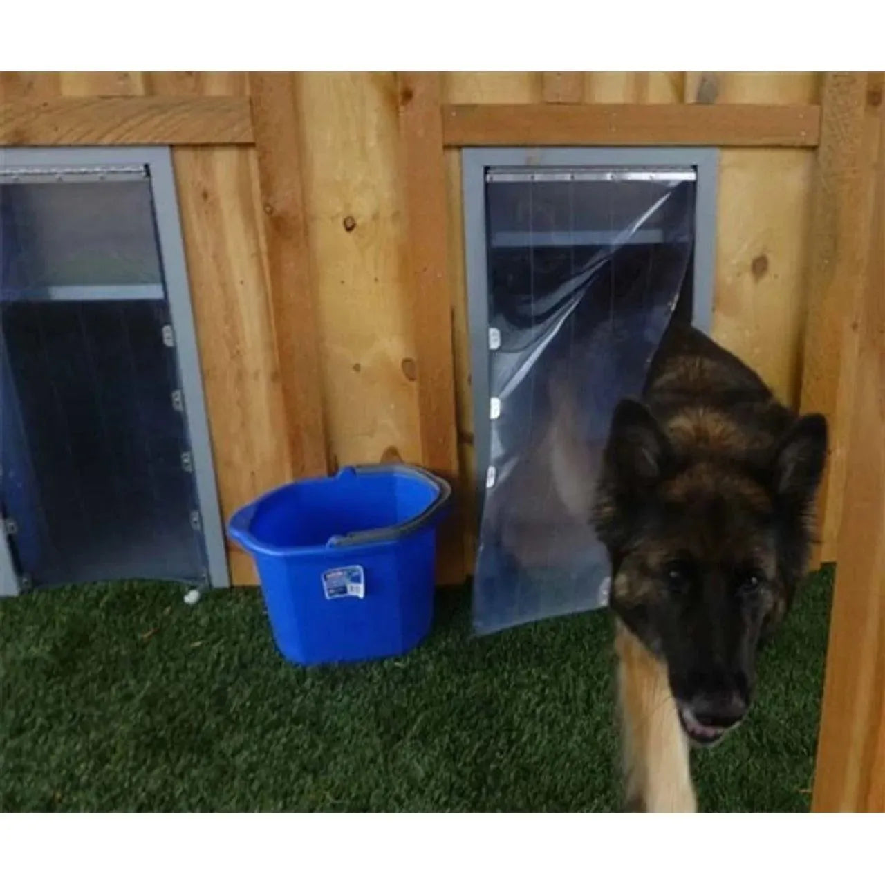 3-Sided Exterior Kennel Door - 0 - 215 / White | OmniaPaws