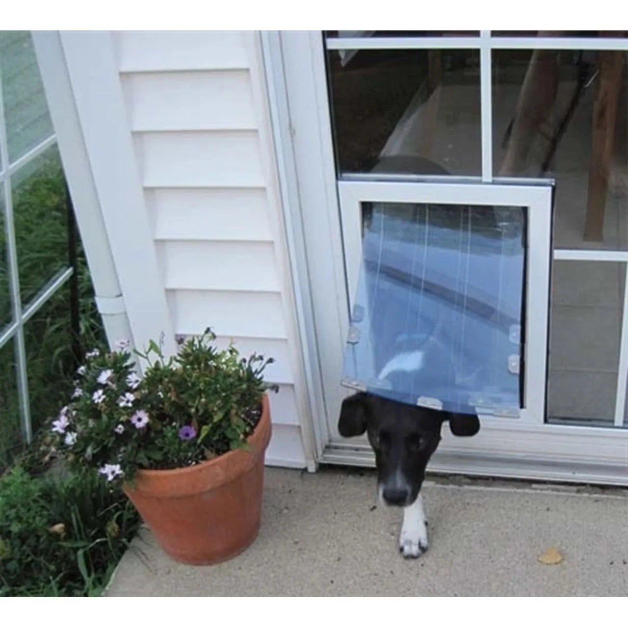 MaxSeal In-Glass Pet Door - Small (6" x 7.5") / Single Flap | OmniaPaws