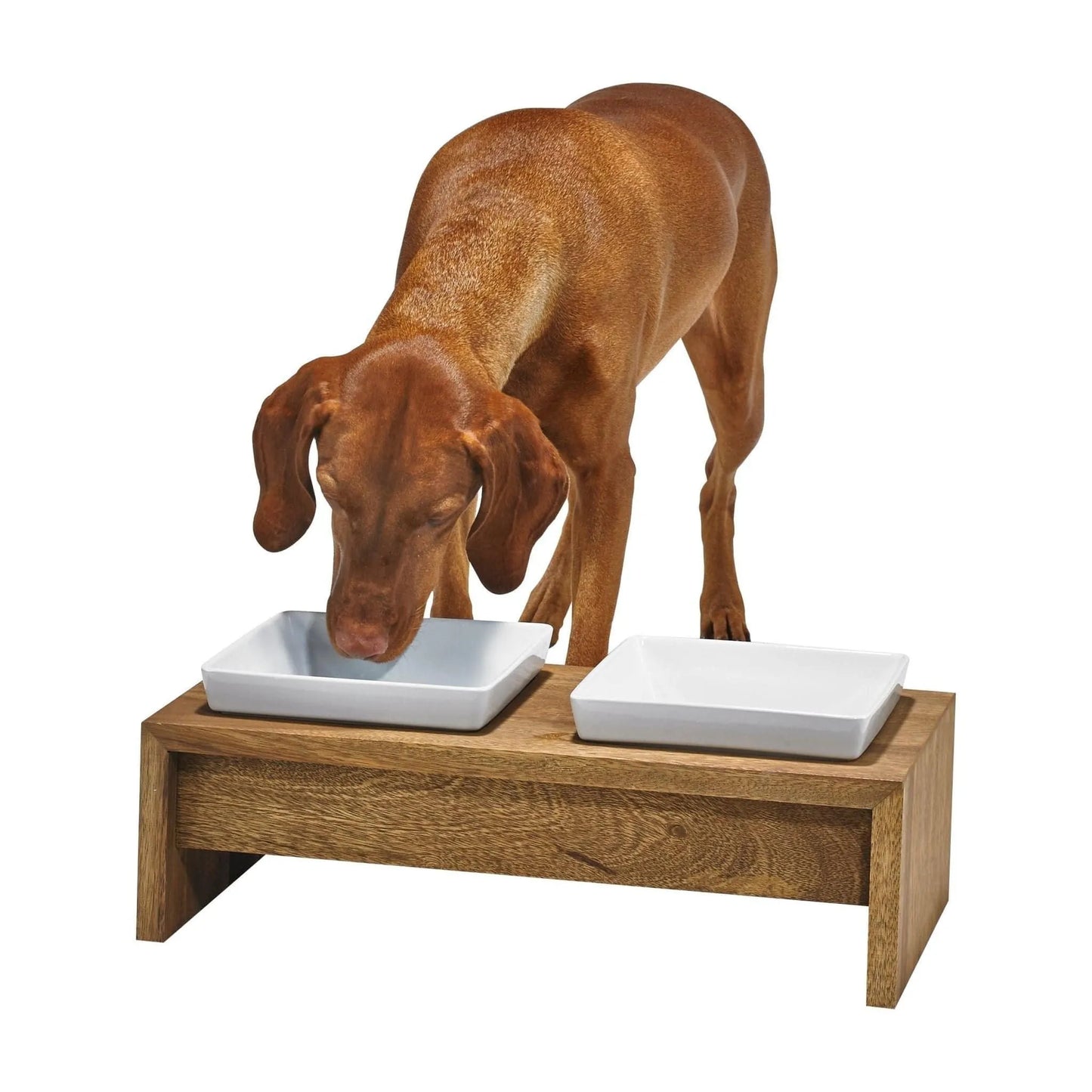 Bowsers Artesian Diner - Bamboo / Single / X-Small | OmniaPaws