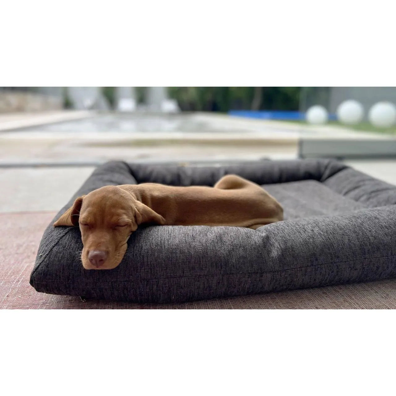 Bowsers Hugo Futon Dog Bed - Birch / Performance Chenille / Medium | OmniaPaws