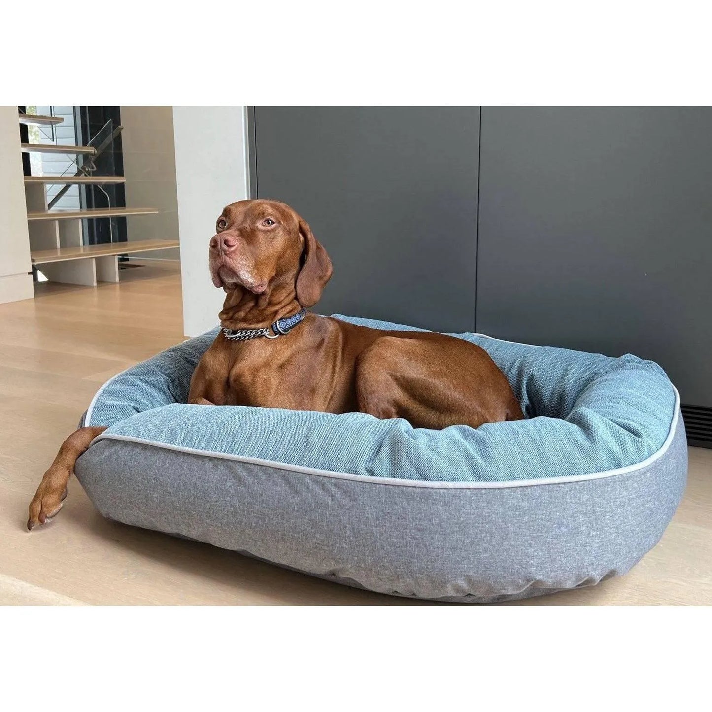 Bowsers Ovie Dog Bed - Horizon / Performance Woven / Small | OmniaPaws