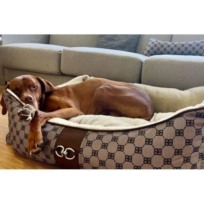 Bowsers Signature Scoop Dog Bed - Signature Coco / Microvelvet / Small | OmniaPaws