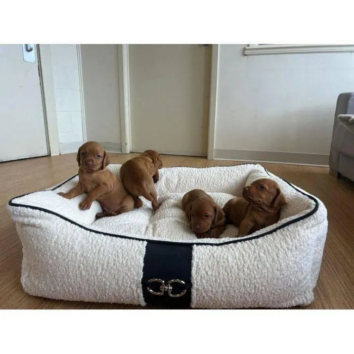 Bowsers Signature Scoop Dog Bed - Signature Coco / Microvelvet / Small | OmniaPaws