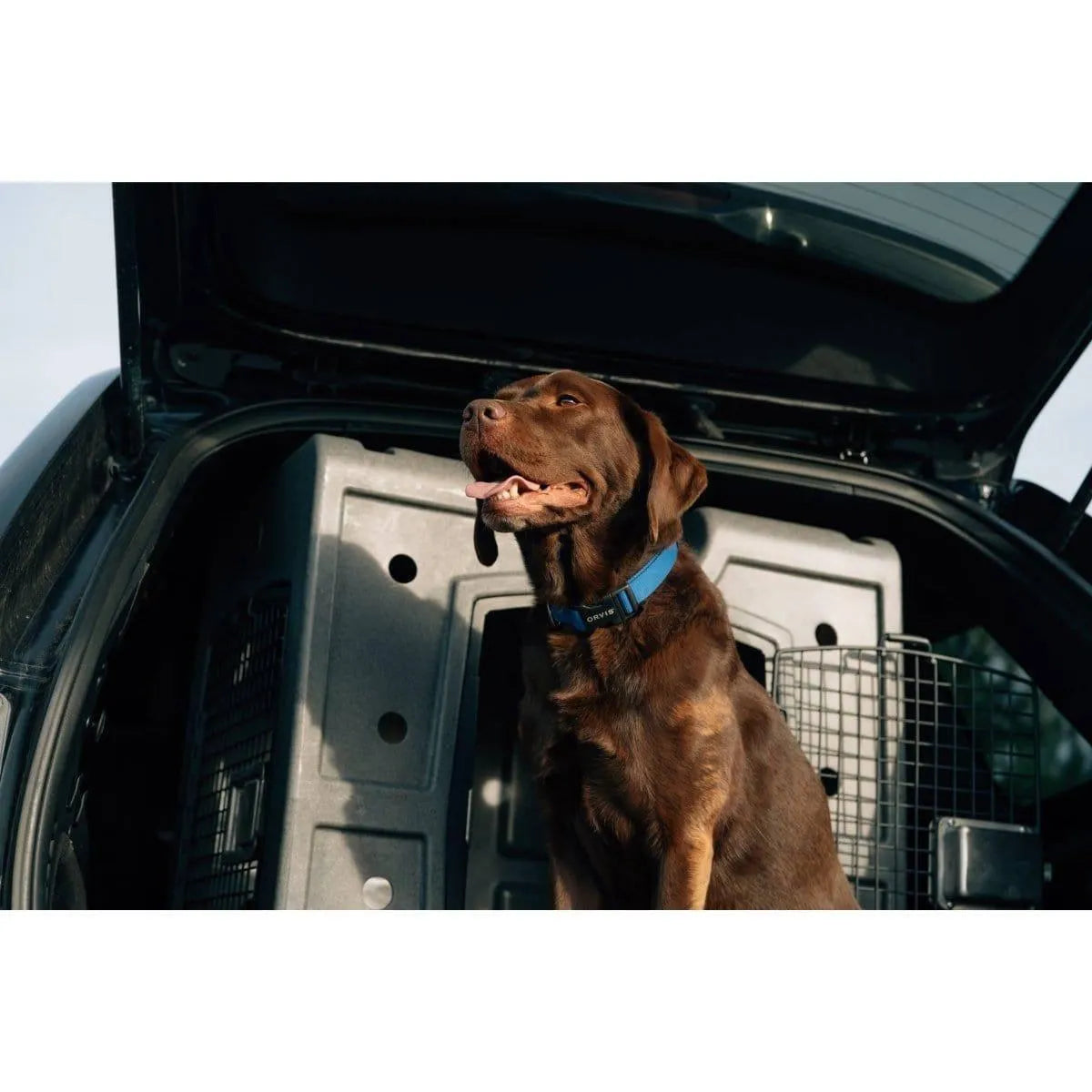 Dakota 283 2D Side Entry Kennel - Dark Granite / No Antimicrobial Protection | OmniaPaws