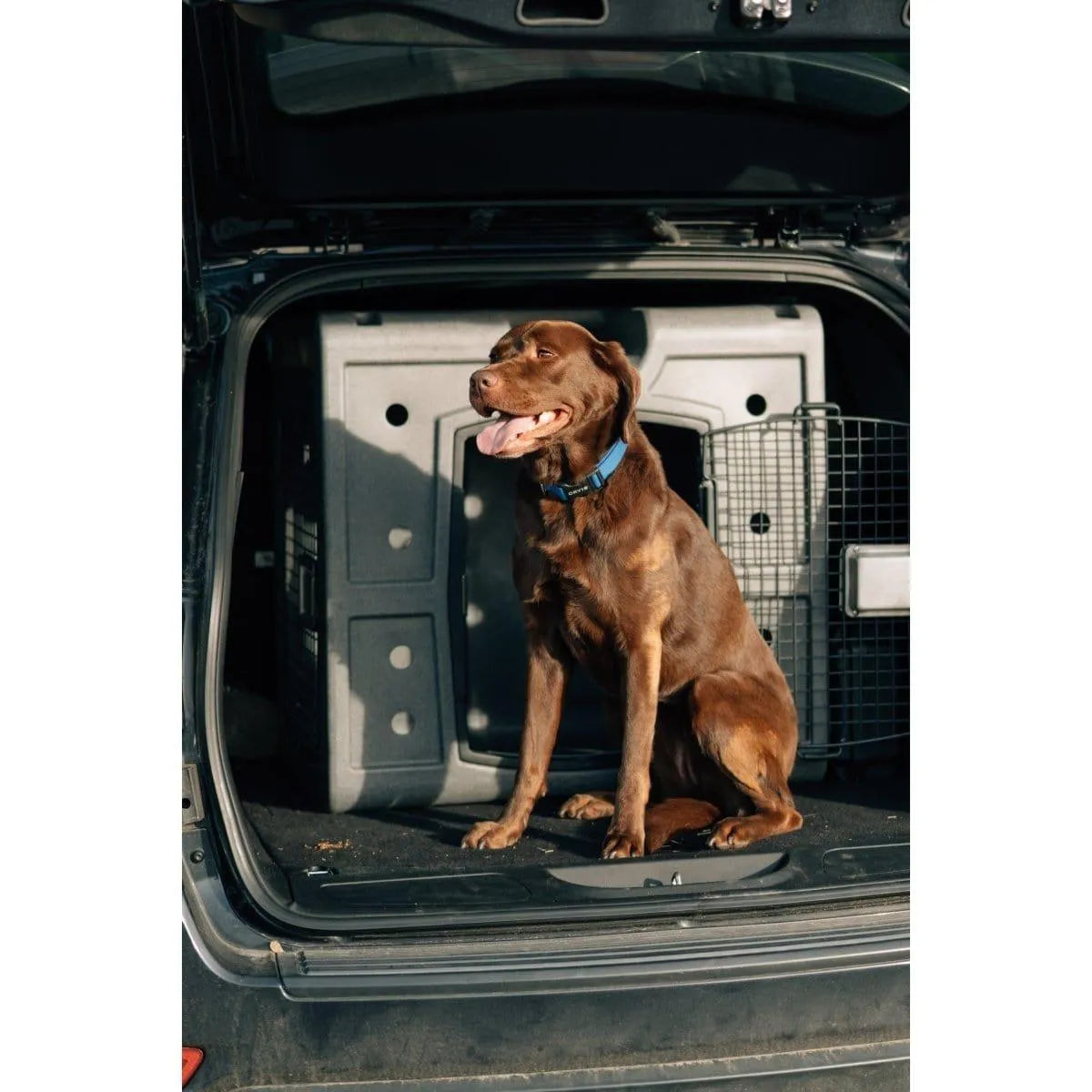 Dakota 283 2D Side Entry Kennel - Dark Granite / No Antimicrobial Protection | OmniaPaws