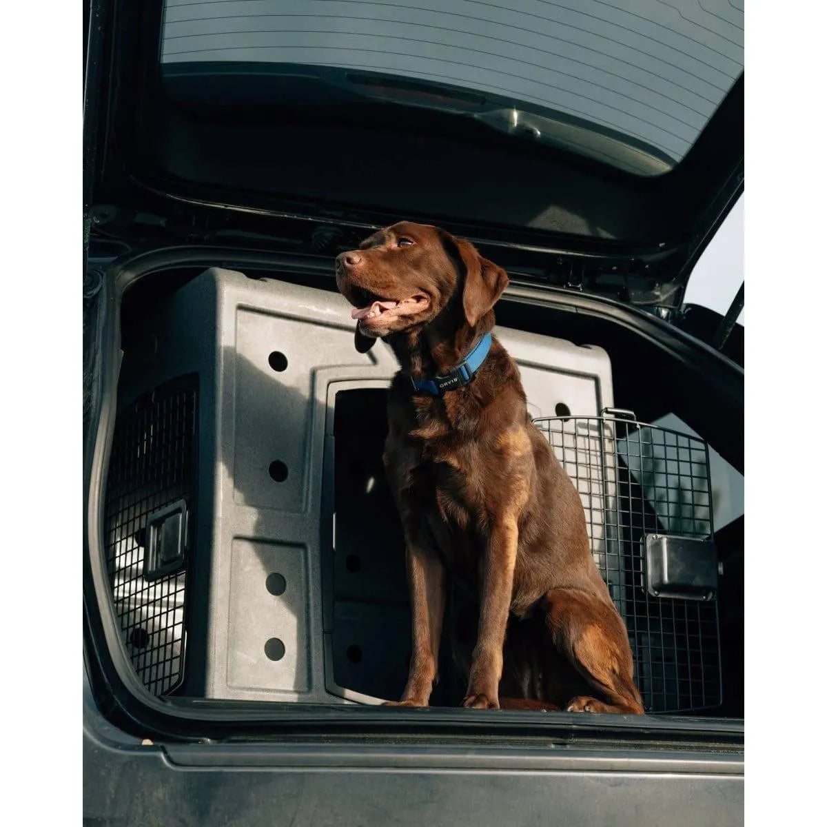 Dakota 283 2D Side Entry Kennel - Dark Granite / No Antimicrobial Protection | OmniaPaws