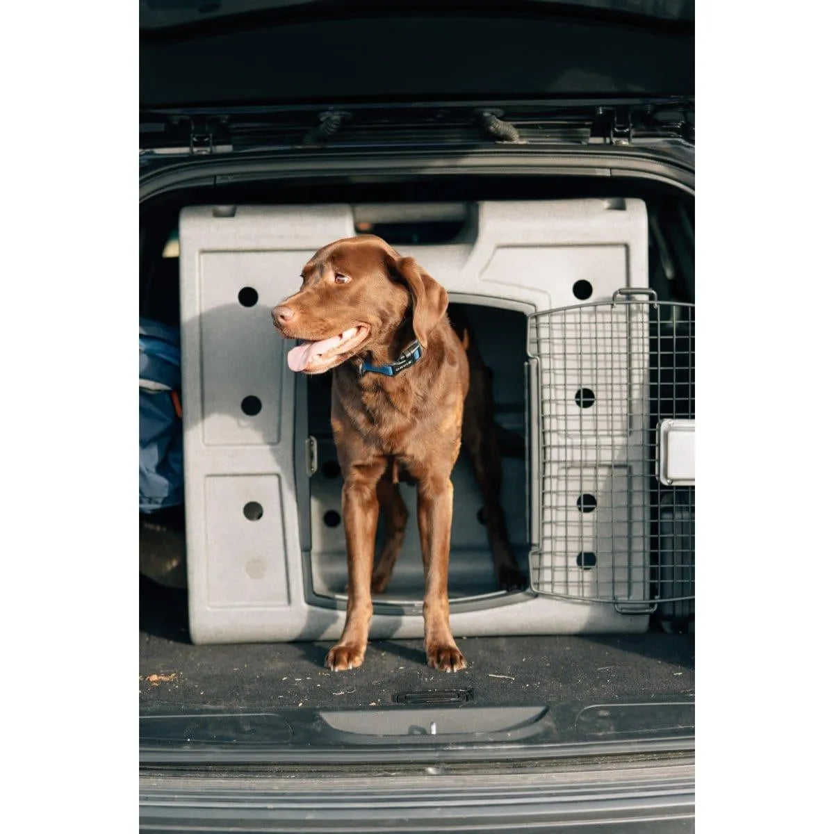 Dakota 283 2D Side Entry Kennel - Dark Granite / No Antimicrobial Protection | OmniaPaws