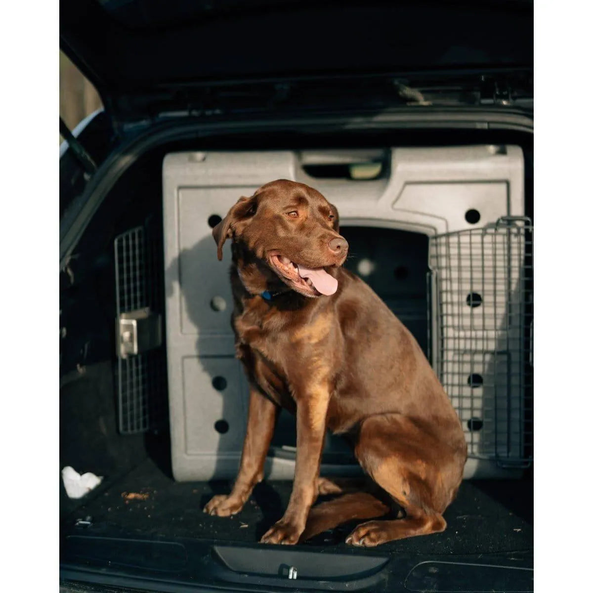 Dakota 283 2D Side Entry Kennel - Dark Granite / No Antimicrobial Protection | OmniaPaws