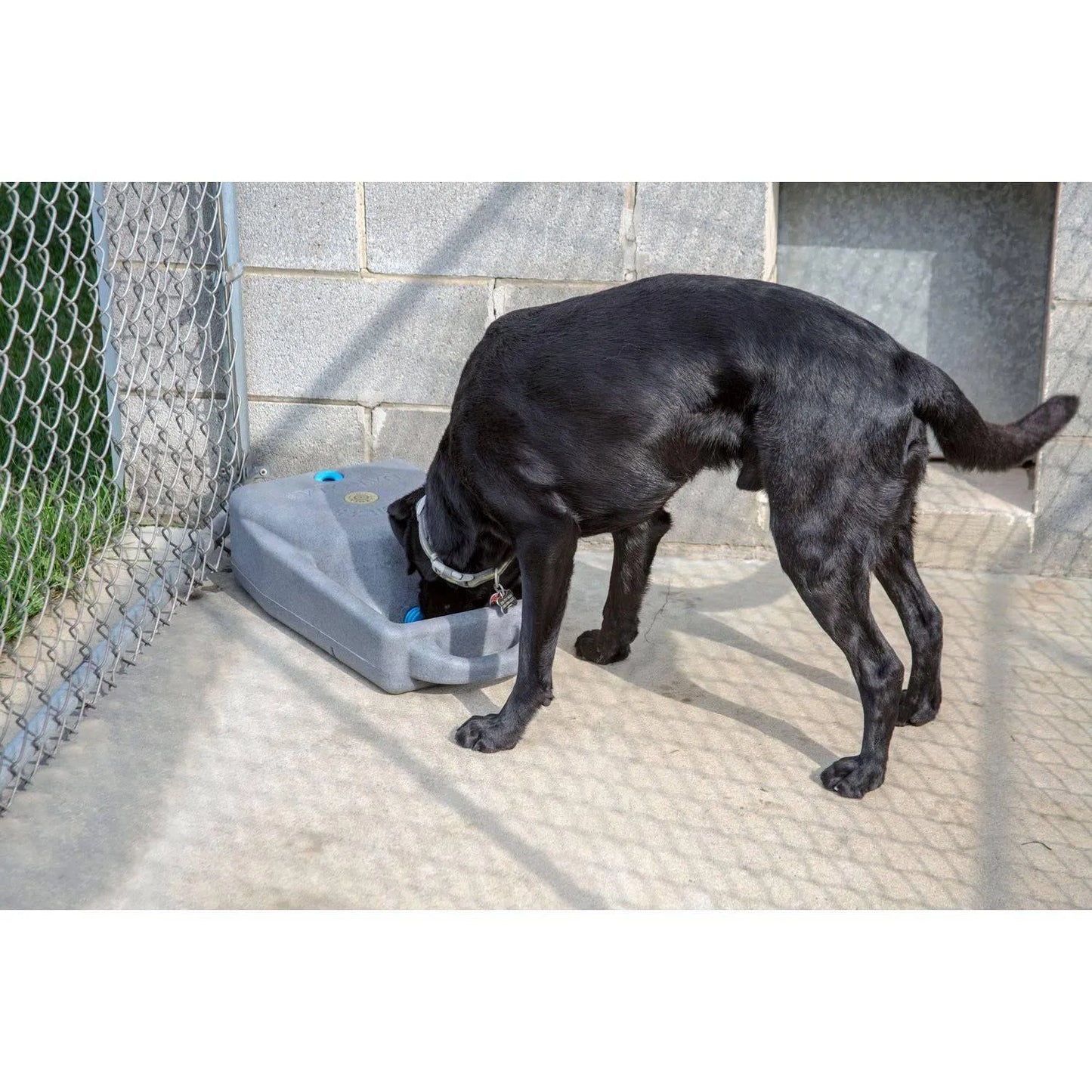 Dakota 283 Dash 3.5 Gallon Water System - Coyote Granite / No Antimicrobial Protection | OmniaPaws