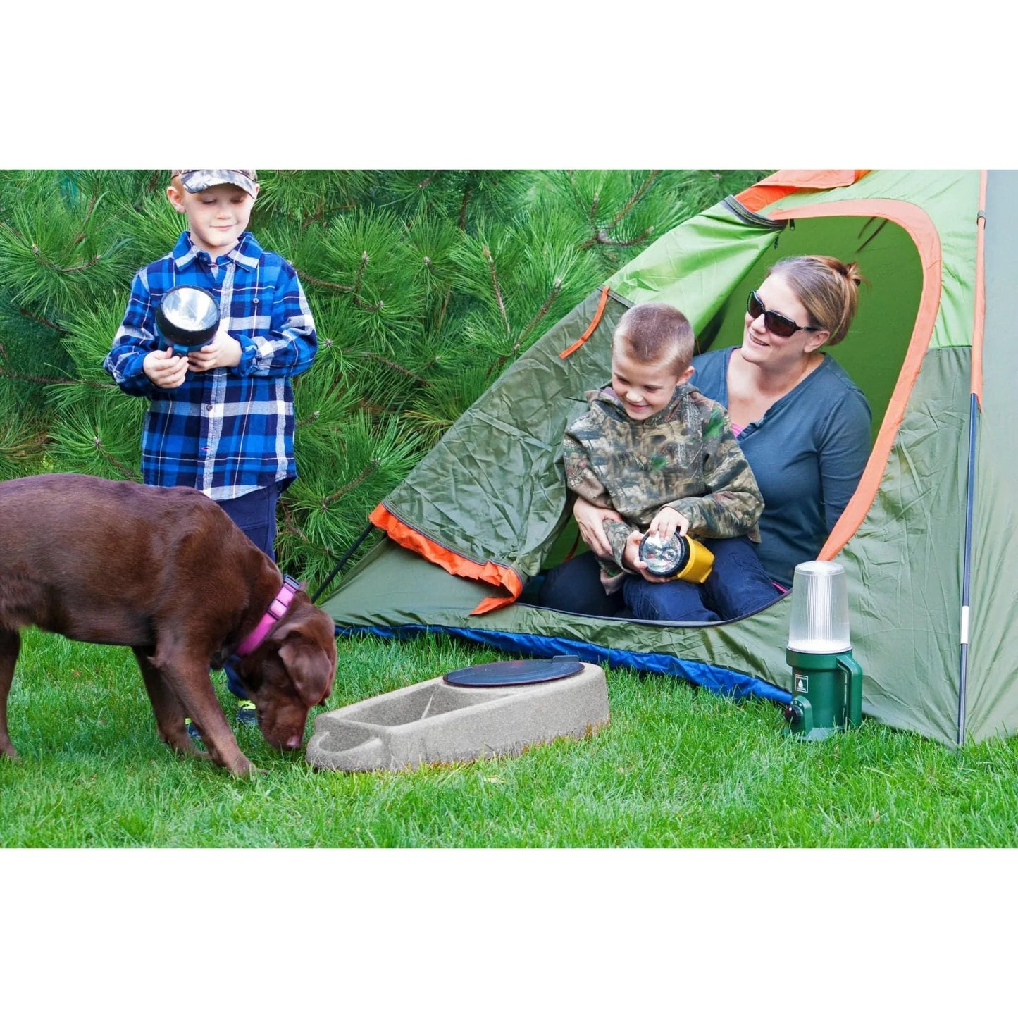Dakota 283 Dine N Dash - Coyote Granite / No Antimicrobial Protection | OmniaPaws