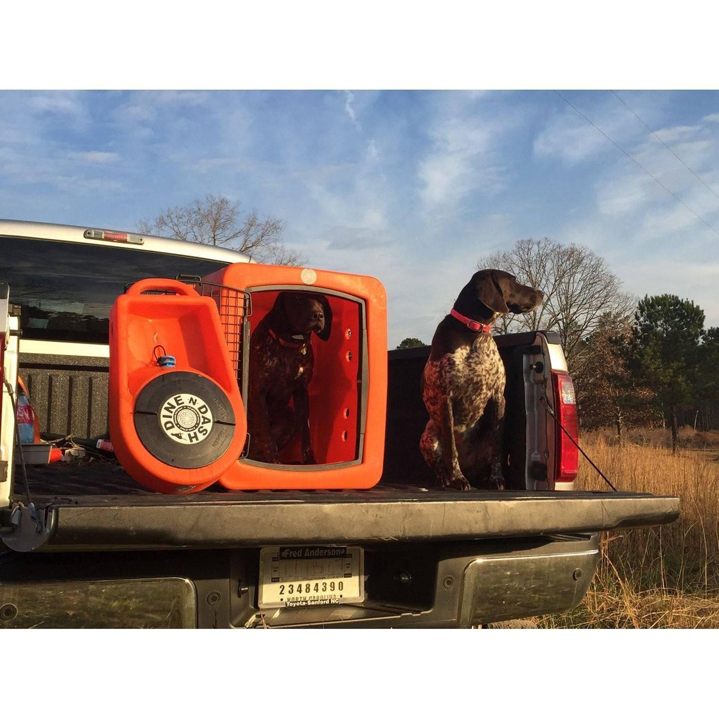 Dakota 283 Dine N Dash - Coyote Granite / No Antimicrobial Protection | OmniaPaws