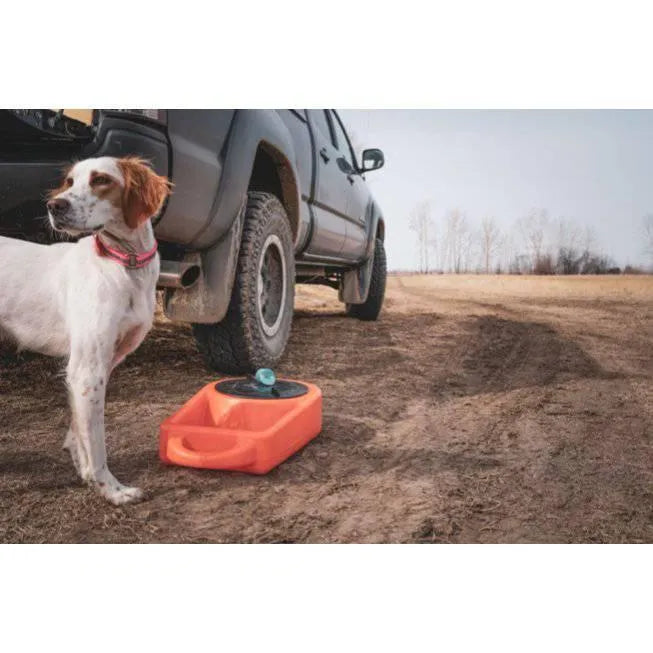 Dakota 283 Dine N Dash - Coyote Granite / No Antimicrobial Protection | OmniaPaws