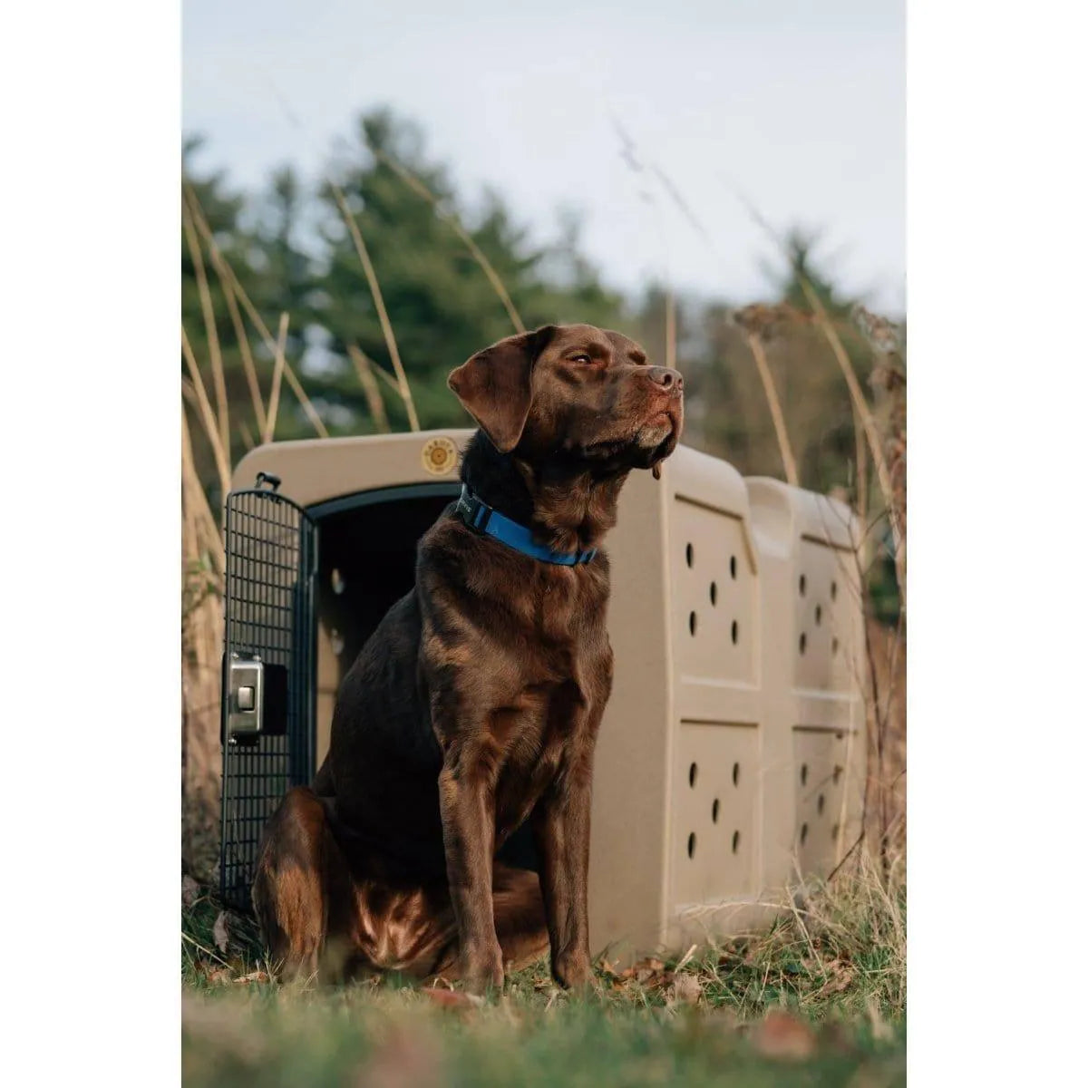 Dakota 283 G3 Large Framed Kennel - Blue / No Antimicrobial Protection | OmniaPaws