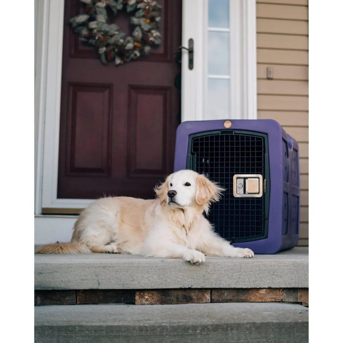 Dakota 283 G3 Medium Framed Kennel - Blue / No Antimicrobial Protection | OmniaPaws