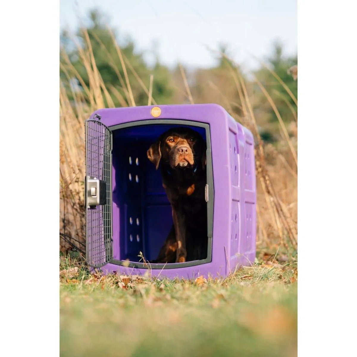 Dakota 283 G3 Medium Framed Kennel - Blue / No Antimicrobial Protection | OmniaPaws