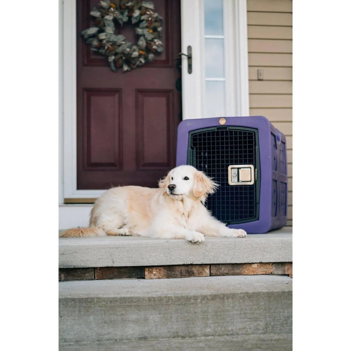 Dakota 283 G3 Medium Framed Kennel - Blue / No Antimicrobial Protection | OmniaPaws