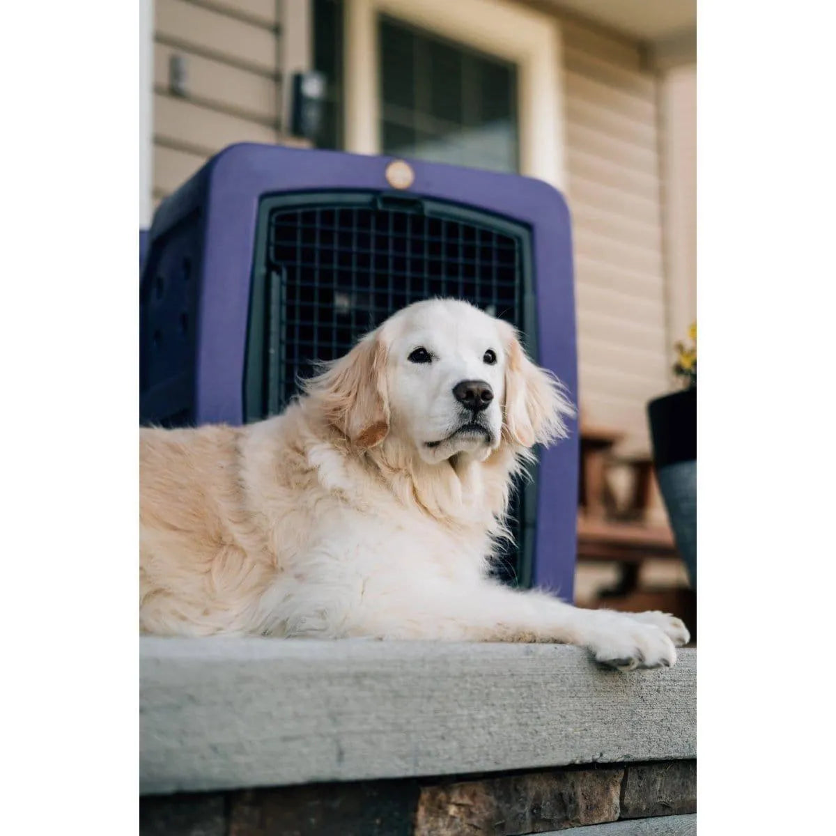 Dakota 283 G3 Medium Framed Kennel - Blue / No Antimicrobial Protection | OmniaPaws