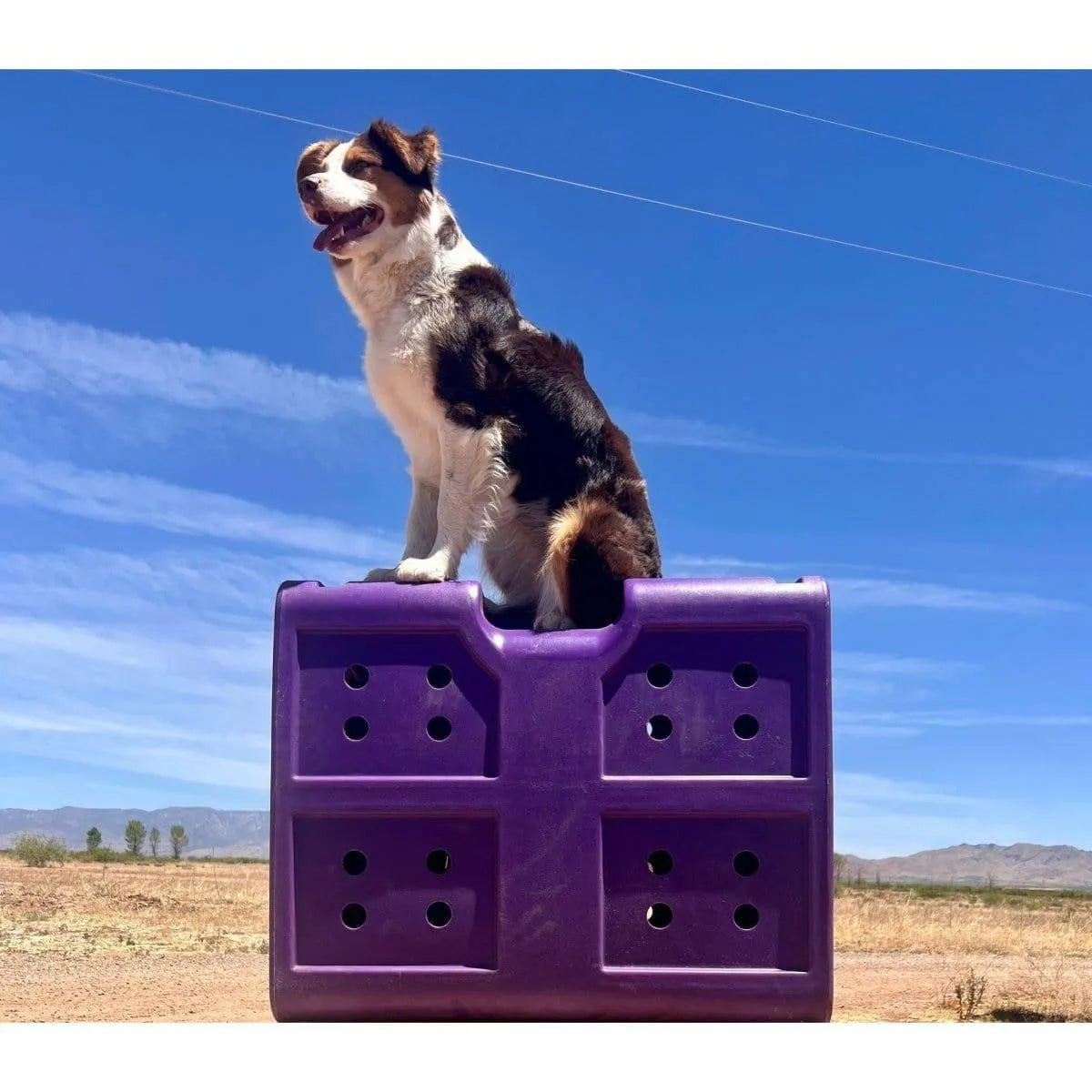 Dakota 283 G3 Medium Framed Kennel - Blue / No Antimicrobial Protection | OmniaPaws