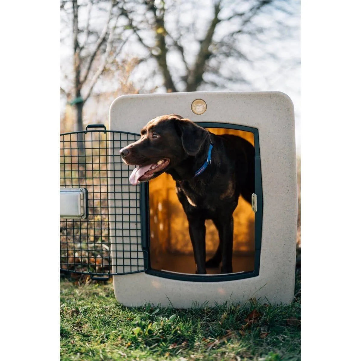 Dakota 283 G3 X-Large Framed Kennel - Blue / No Antimicrobial Protection | OmniaPaws
