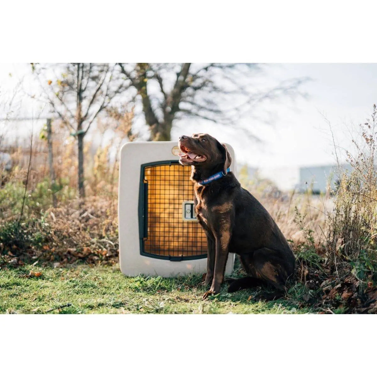 Dakota 283 G3 X-Large Framed Kennel - Blue / No Antimicrobial Protection | OmniaPaws