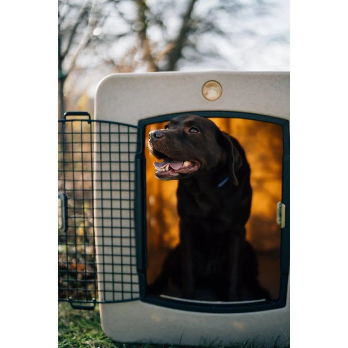Dakota 283 G3 X-Large Framed Kennel - Blue / No Antimicrobial Protection | OmniaPaws