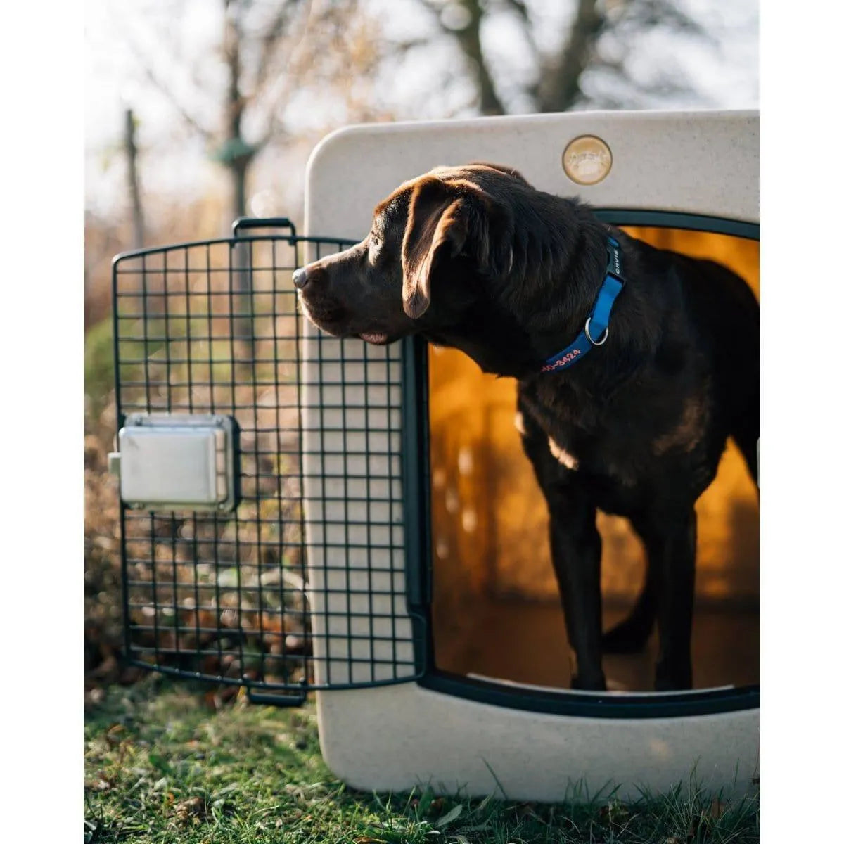 Dakota 283 G3 X-Large Framed Kennel - Blue / No Antimicrobial Protection | OmniaPaws