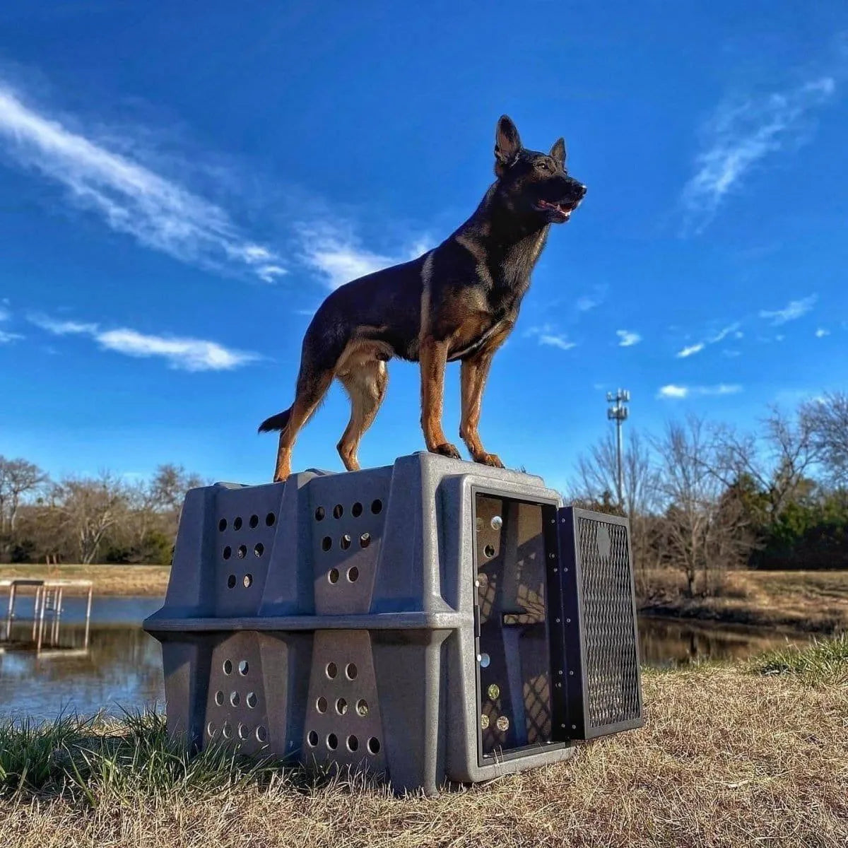 Dakota 283 Hero Kennel - Coyote Granite / No Antimicrobial Protection | OmniaPaws