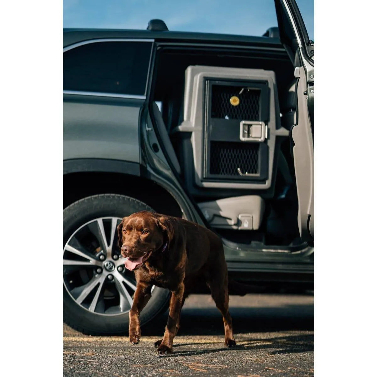 Dakota 283 Hero Kennel - Coyote Granite / No Antimicrobial Protection | OmniaPaws