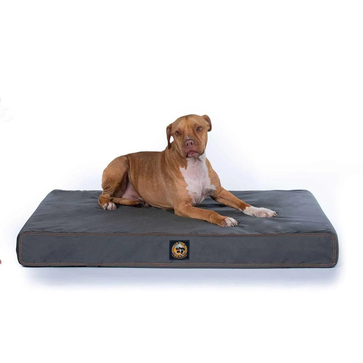 Gorilla Ballistic Tough Orthopedic Dog Bed™ - Small / Orthopedic / Gray | OmniaPaws