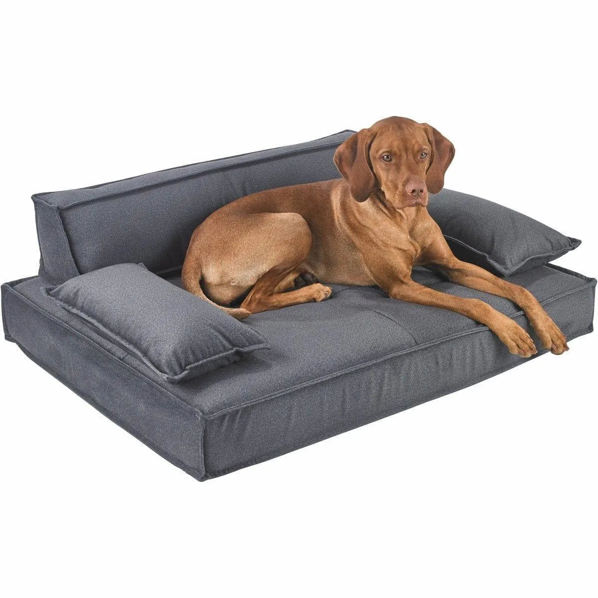 Bowsers Scandinave Pet Sofa - Shadow / Flanella Microvelvet | OmniaPaws