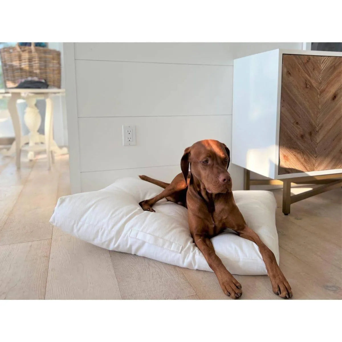Bowsers The Avenue Dog Bed - Natura / Performance Woven / Medium | OmniaPaws