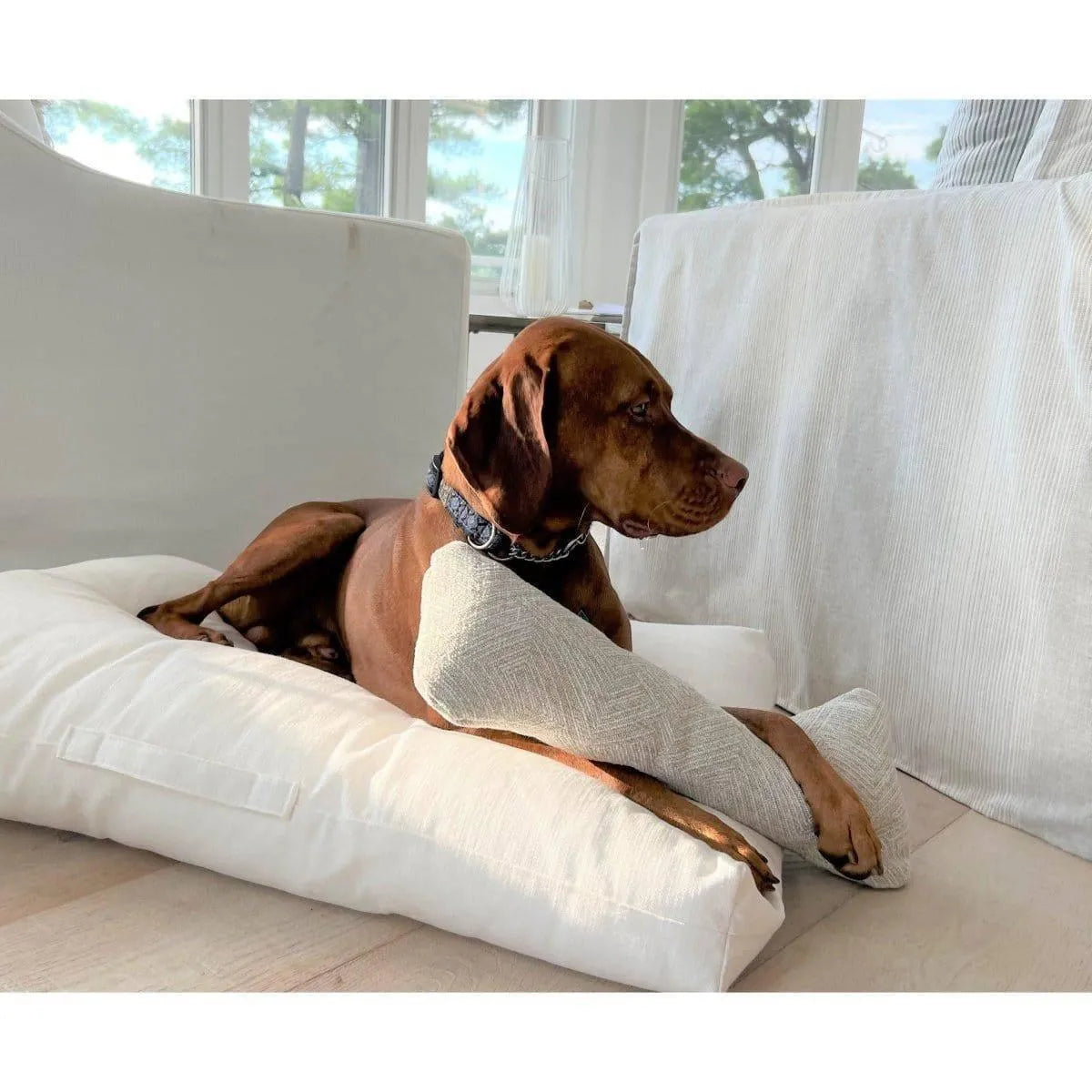 Bowsers The Avenue Dog Bed - Natura / Performance Woven / Medium | OmniaPaws