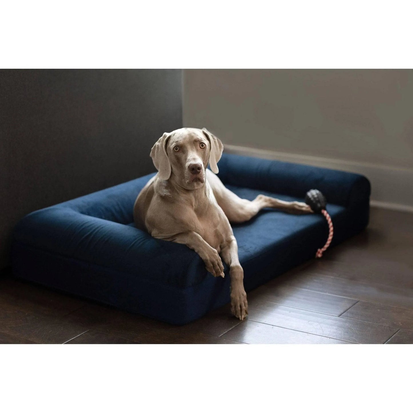 Ultra Vel Orthopedic Dog Couch - Small / Coyote | OmniaPaws