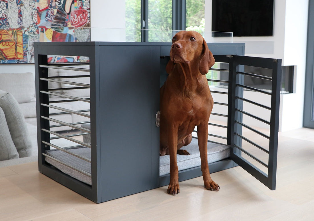 Moderno Dog Crate: The Ultimate Comfort for Your Canine Companion | OmniaPaws