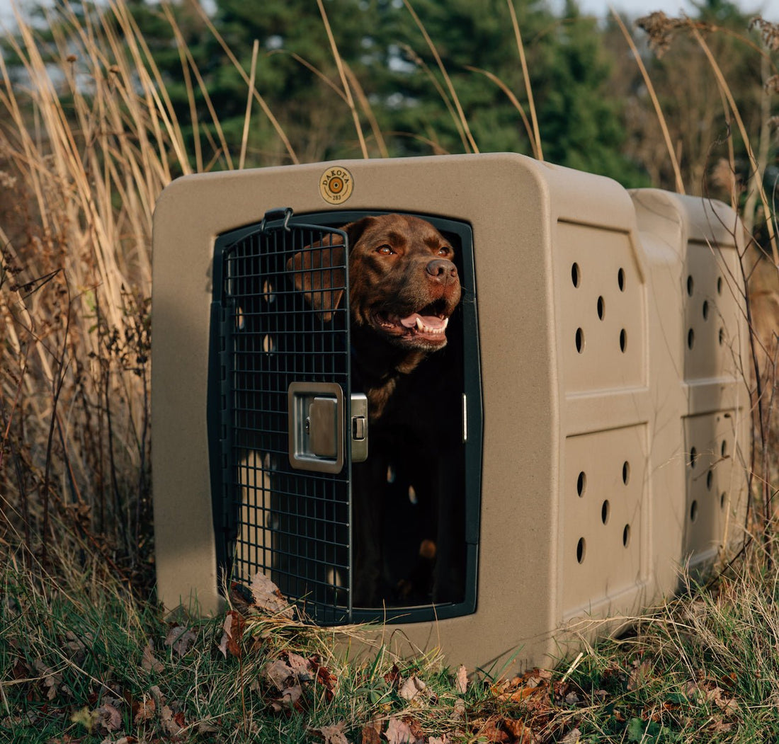 The Ultimate Protection for Your Pet: Dakota 283 G3 Large Framed Kennel - OmniaPaws