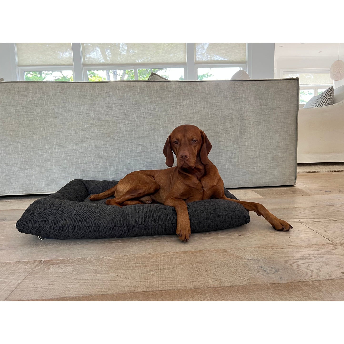 Bowsers Hugo Futon Dog Bed