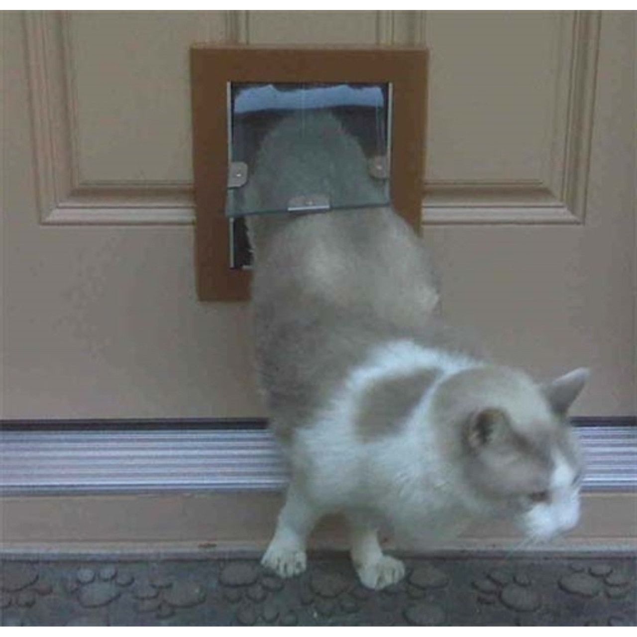 MaxSeal Door Mount Pet Door - OmniaPaws