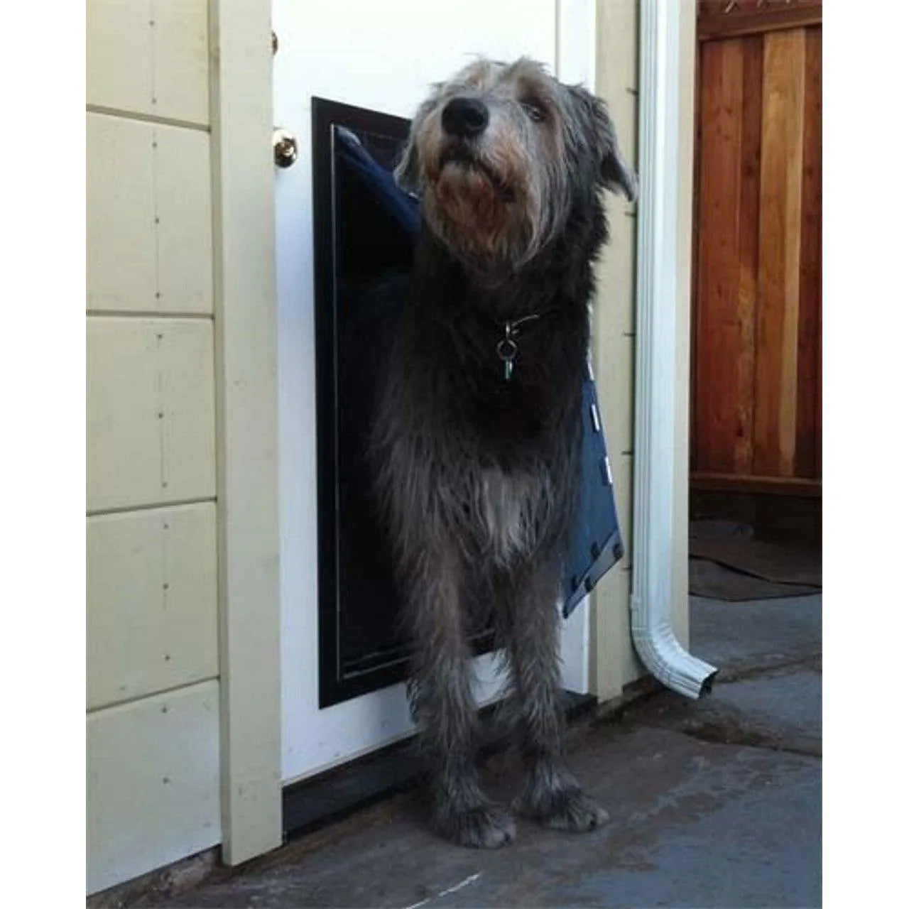 Security Boss MaxSeal Pet Door for Doors – OmniaPaws