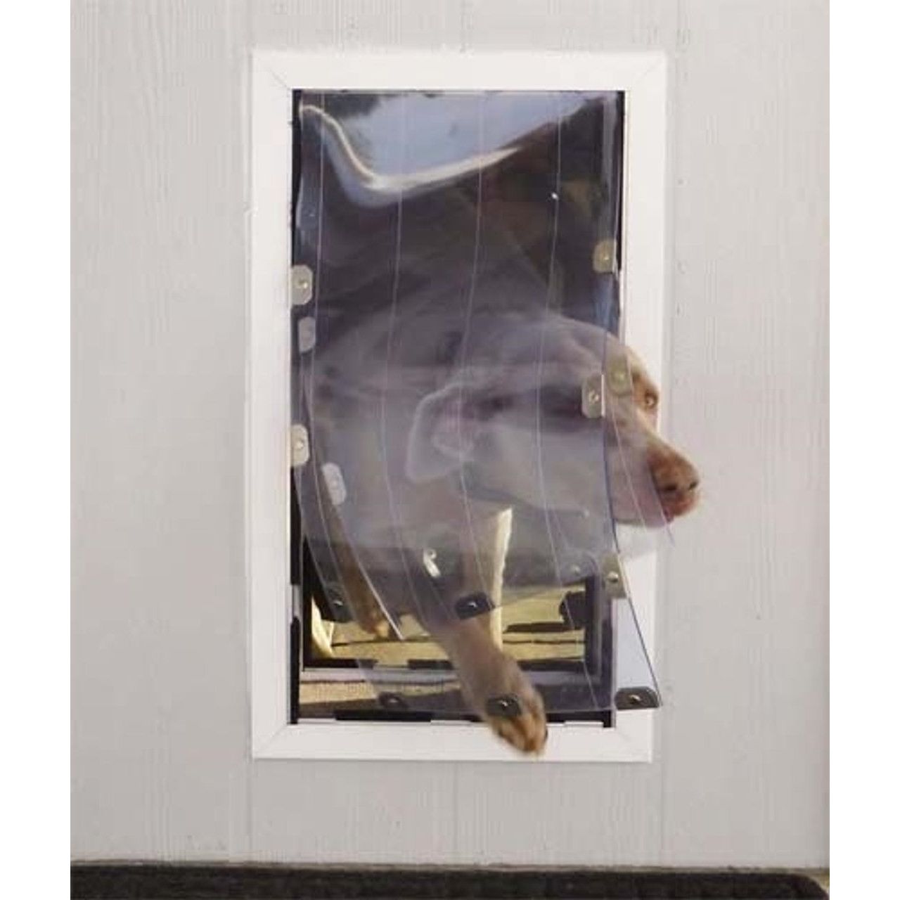 MaxSeal Wall Mount Pet Door - OmniaPaws