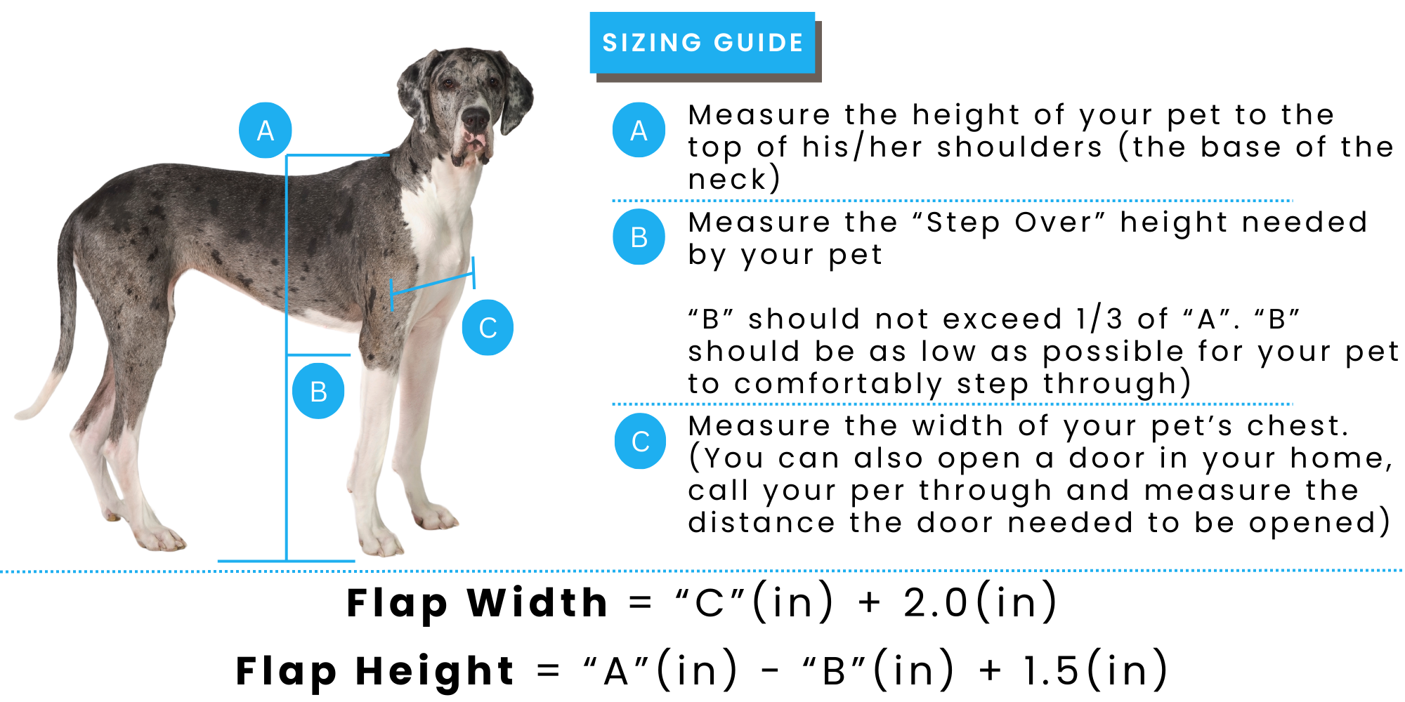 SIZING GUIDE (1000 x 2000 px) (7).png