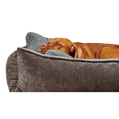 Bowsers B-Lounge Dog Bed - OmniaPaws