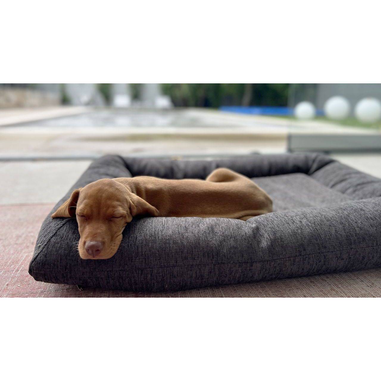 Bowsers Hugo Futon Dog Bed - OmniaPaws